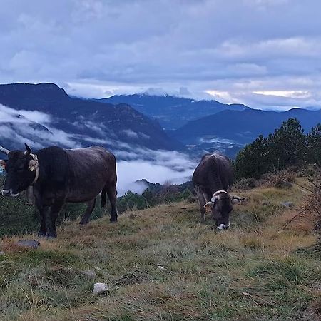 Precioso Apartamento En El Pirineo Catalan La Pobla de Lillet Ngoại thất bức ảnh