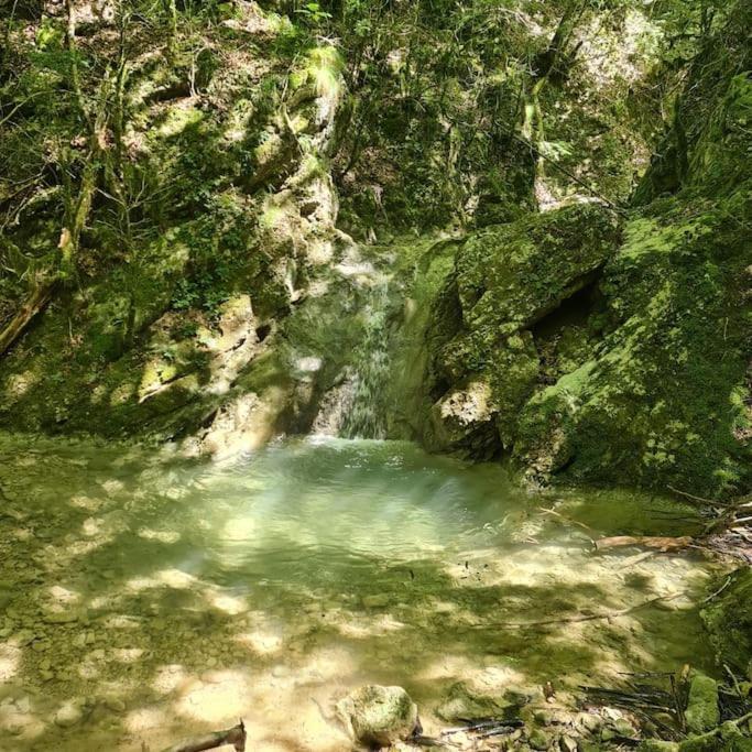 Precioso Apartamento En El Pirineo Catalan La Pobla de Lillet Ngoại thất bức ảnh